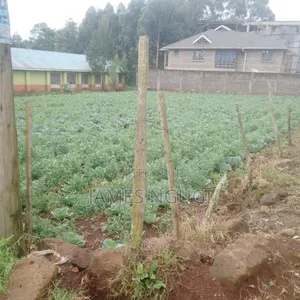 Plot for Sale in Zambezi