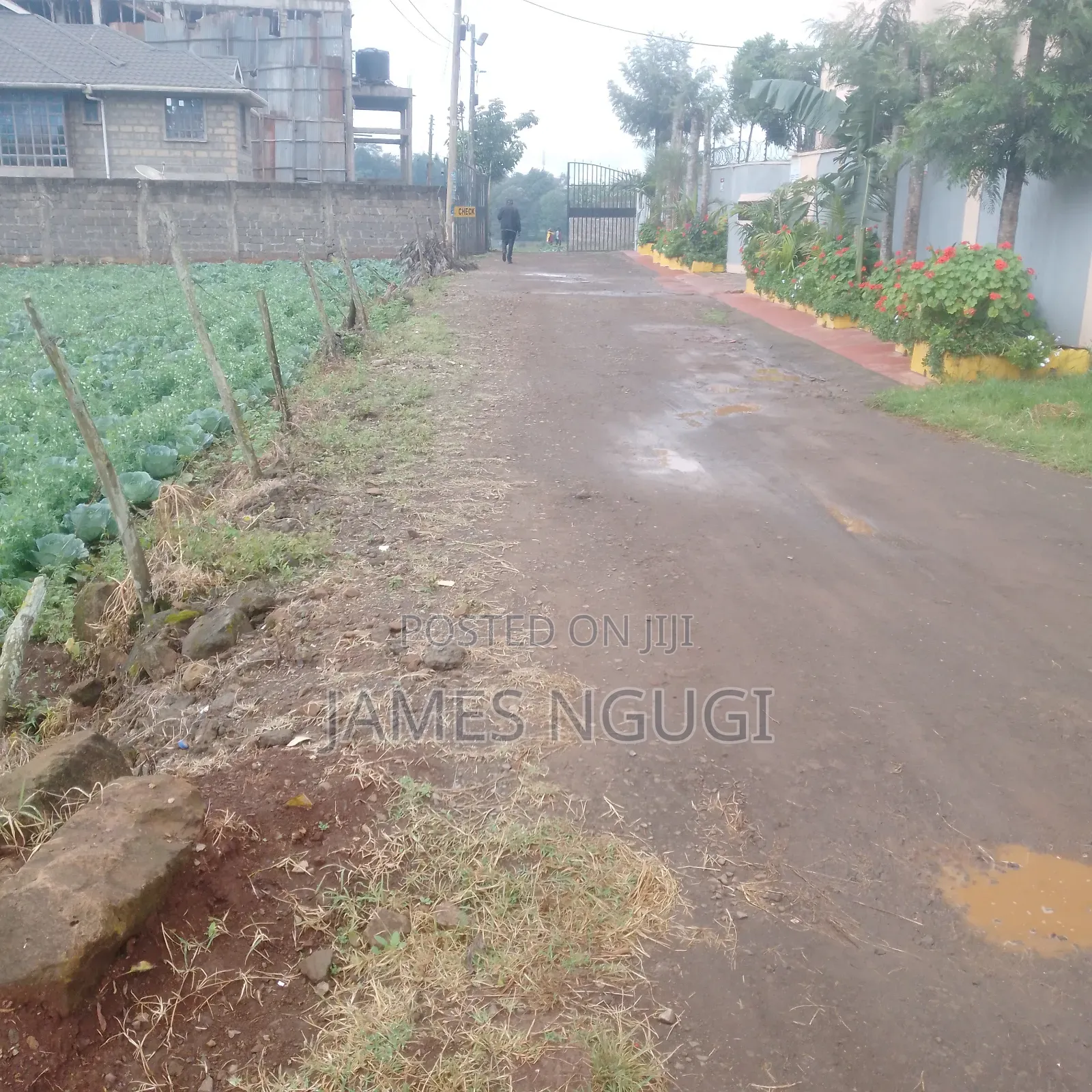 Plot for Sale in Zambezi