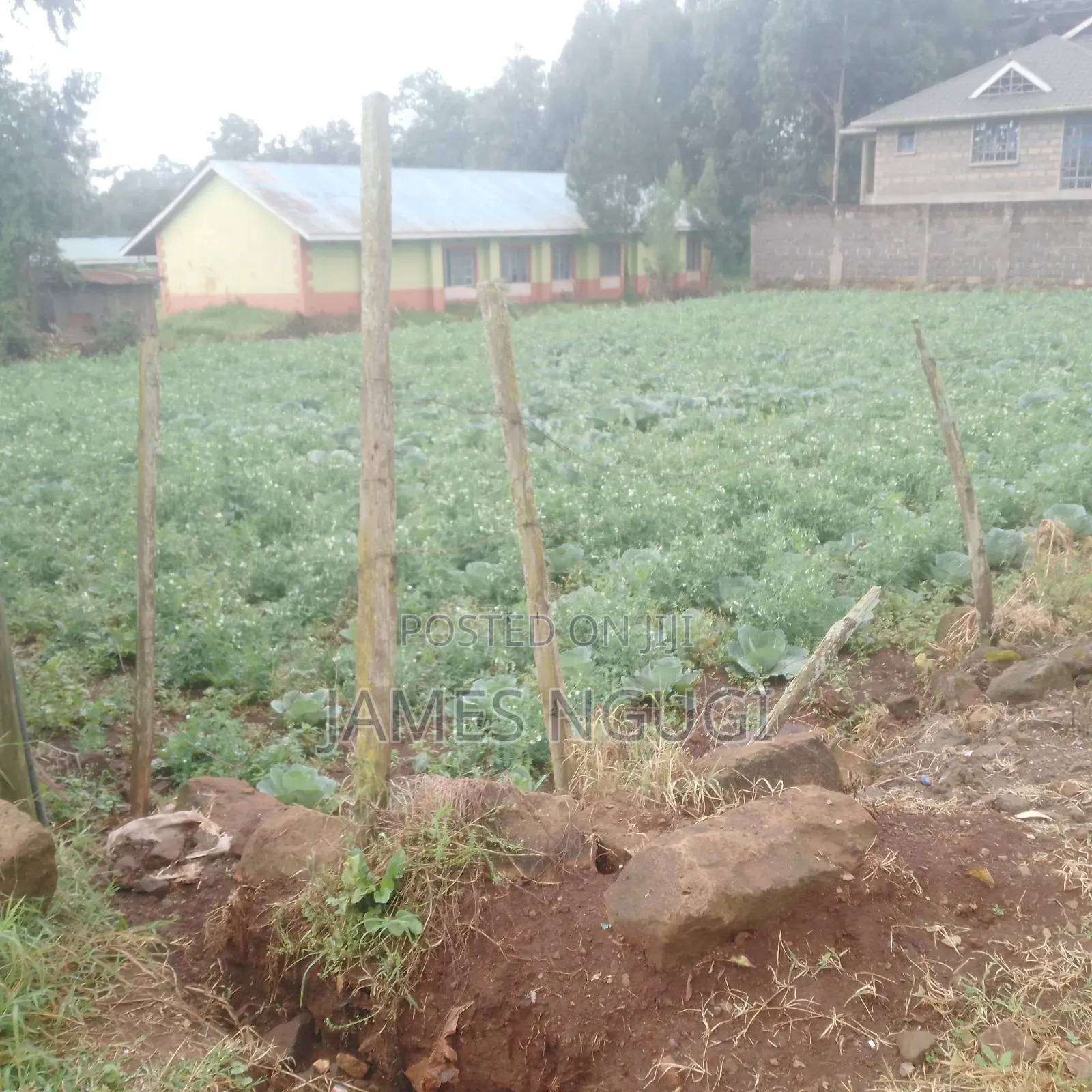 Plot for Sale in Zambezi