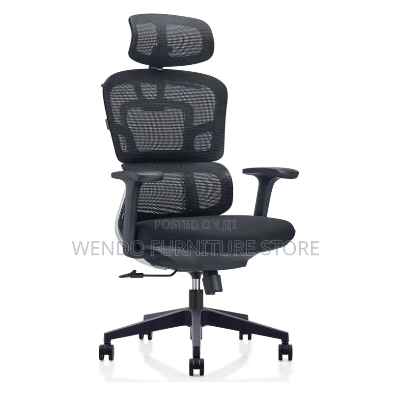 Office Chairs; High Back Orthopedic Office Works Chairs
