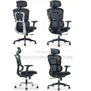 Office Chairs; High Back Orthopedic Office Works Chairs