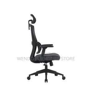 Office Chairs; High Back Orthopedic Office Works Chairs