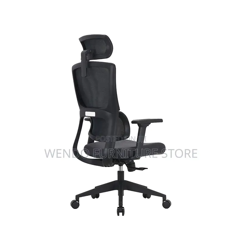 Office Chairs; High Back Orthopedic Office Works Chairs
