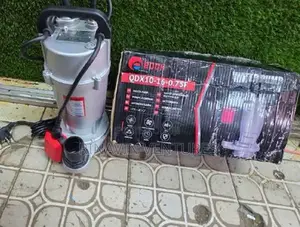 Edon QDX 0.75hp Submersible Water Pump.