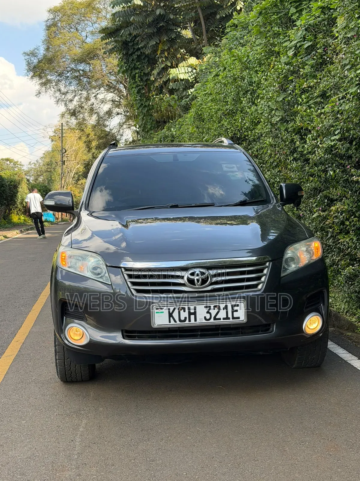 Toyota Vanguard 2010 Gray