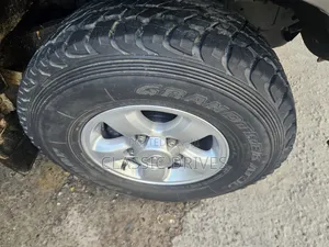 Toyota Land Cruiser 2002 Gray