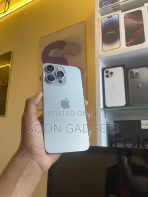 Apple iPhone 15 Pro Max 256 GB Silver
