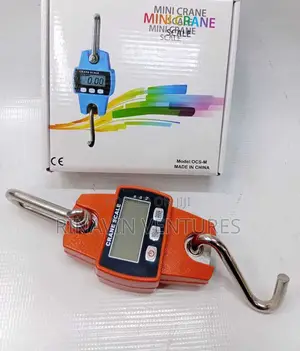 Mini Crane Scale Model Ocs-M 300kg