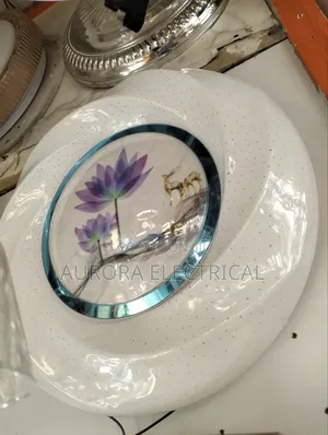 Ceiling Light