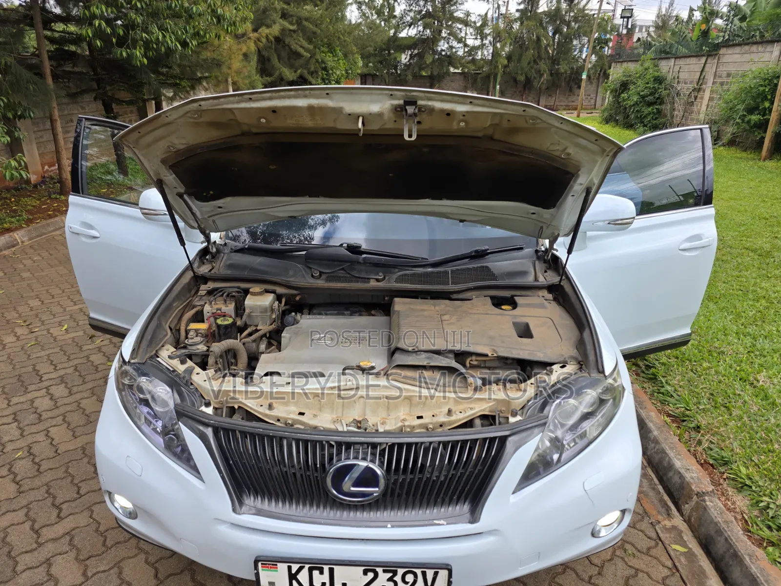Lexus RX 2011