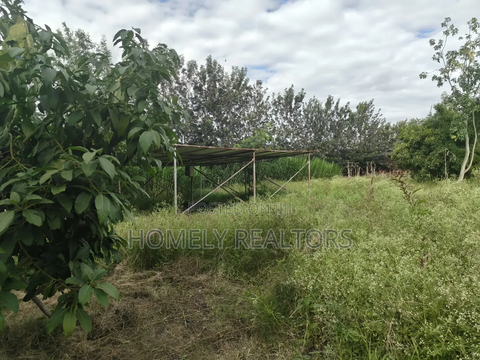 5-acre Farm And Farmland On Sale In Kiserian 400 Meters From Tarmac