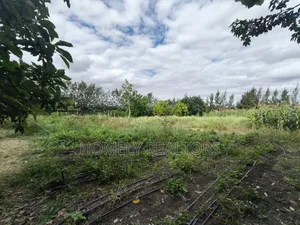 5-acre Farm And Farmland On Sale In Kiserian 400 Meters From Tarmac