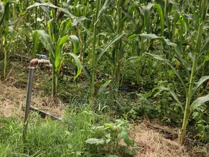 5-acre Farm And Farmland On Sale In Kiserian 400 Meters From Tarmac