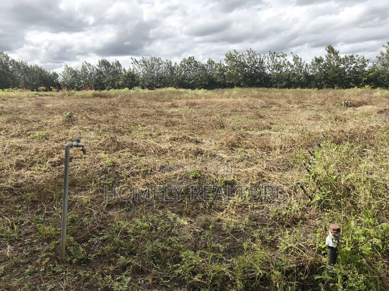 5-acre Farm And Farmland On Sale In Kiserian 400 Meters From Tarmac