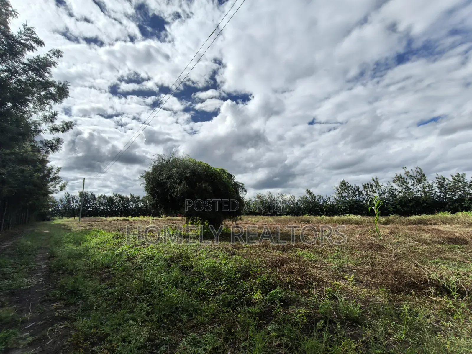 5-acre Farm And Farmland On Sale In Kiserian 400 Meters From Tarmac