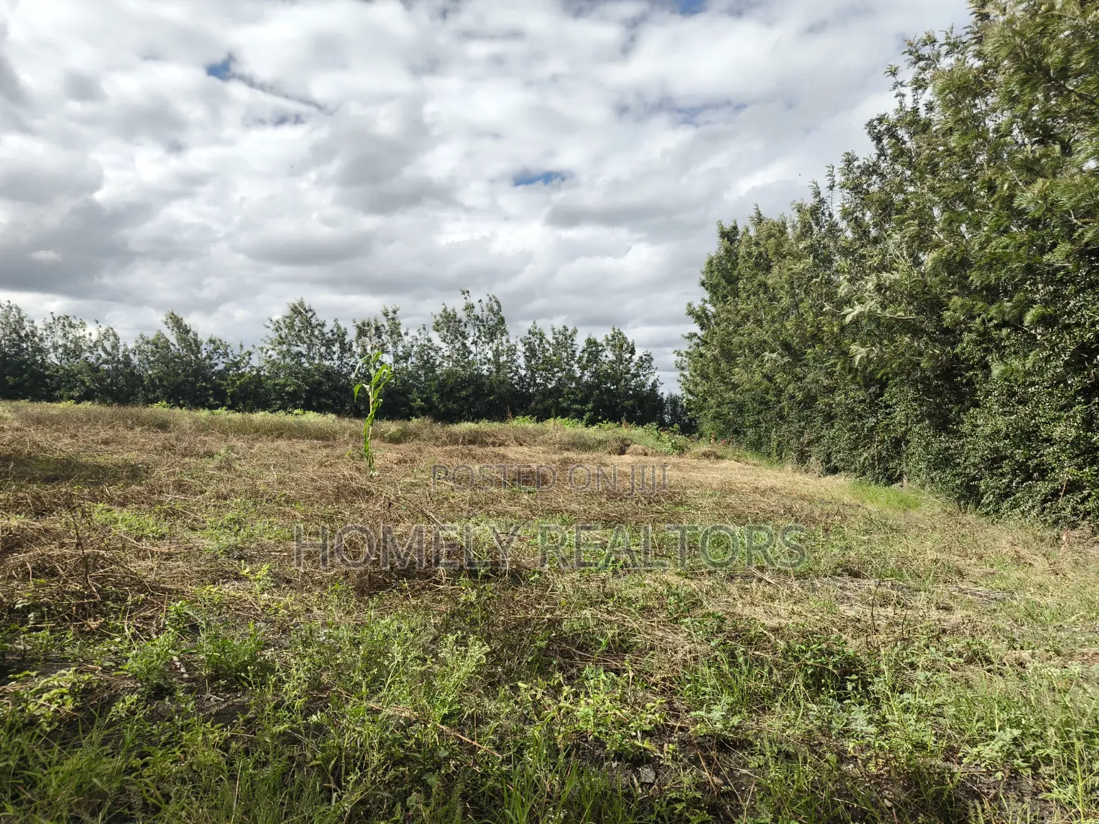 5-acre Farm And Farmland On Sale In Kiserian 400 Meters From Tarmac