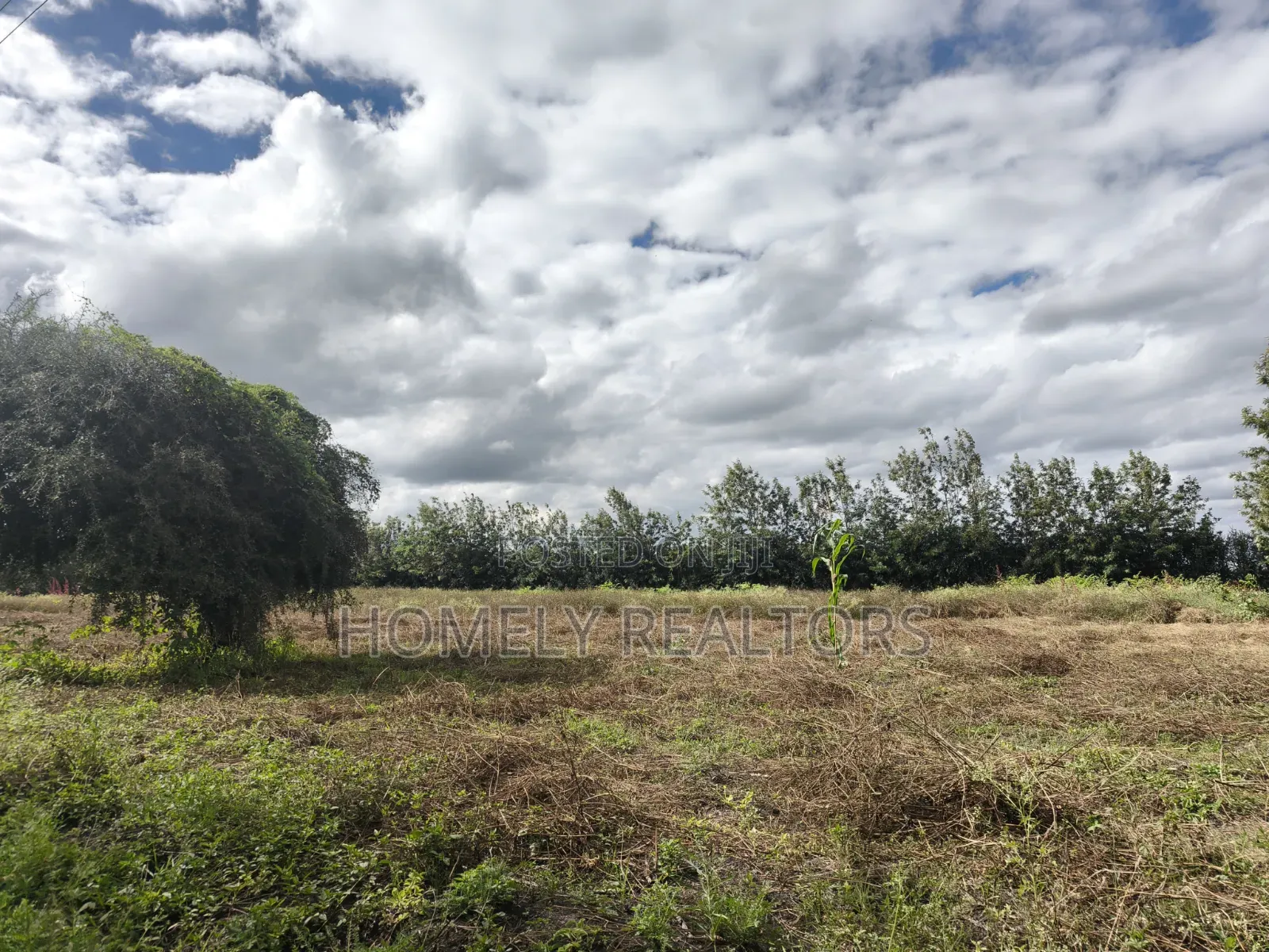 5-acre Farm And Farmland On Sale In Kiserian 400 Meters From Tarmac