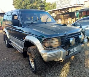 Mitsubishi Pajero 1996 Blue