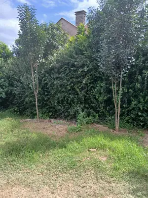 Kerarapon Drive Land for Sale