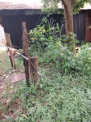 50by100 at Ruaka Ndenderu