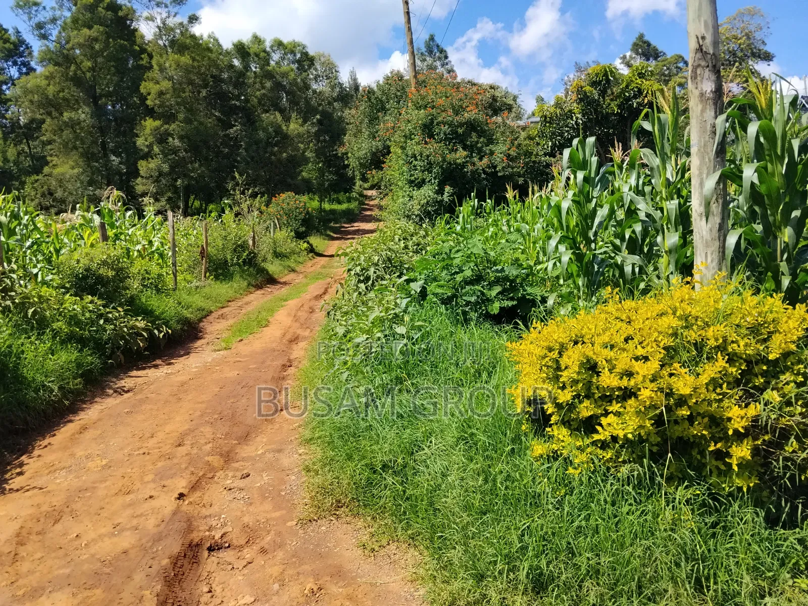 100 by 100 Plot for Sale at Nairobi Ndogo Kikuyu