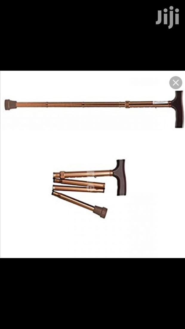 Folderble Walking Stick - main view