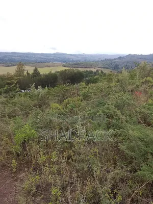 Land for Sale in Gilgil Langa Lang a Kimbo Region
