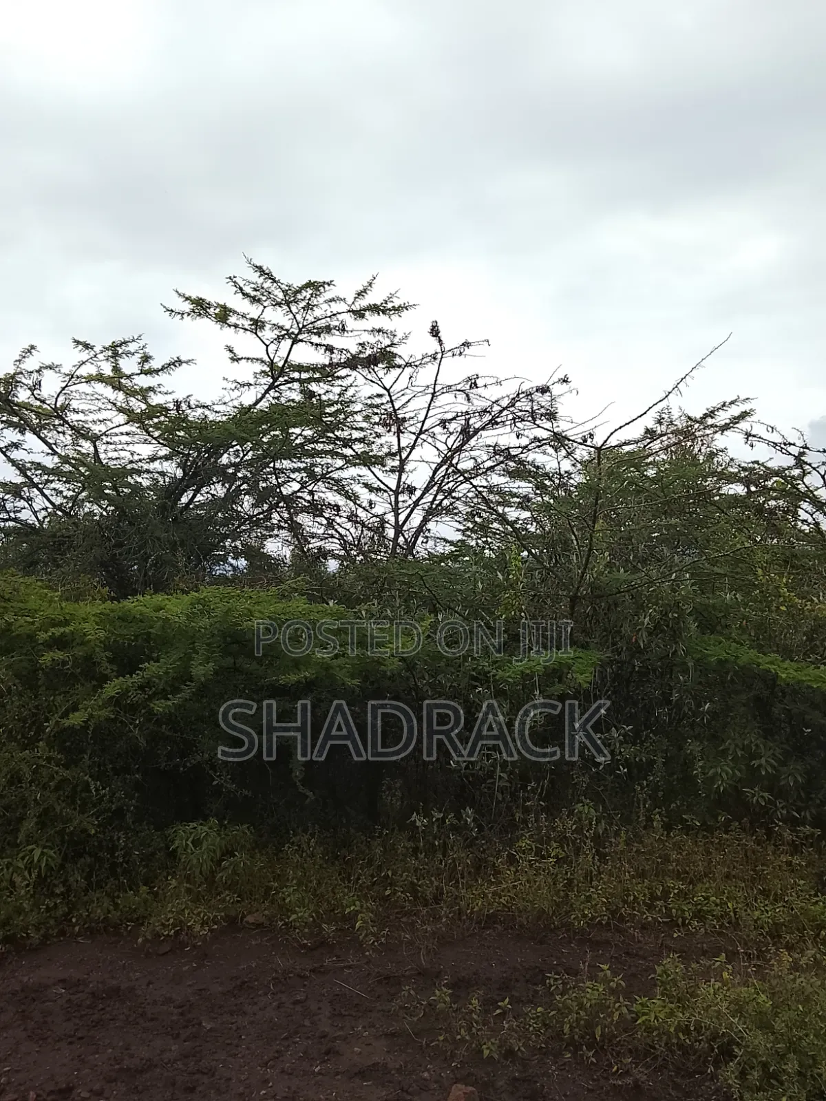 Land for Sale in Gilgil Langa Lang a Kimbo Region