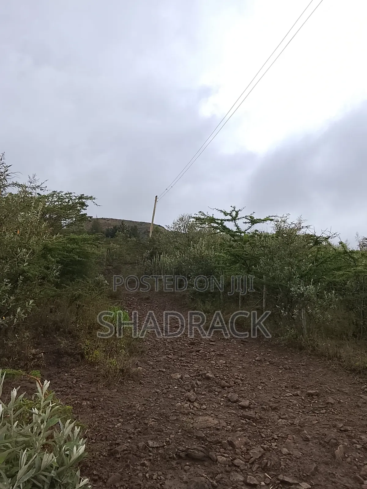 Land for Sale in Gilgil Langa Lang a Kimbo Region