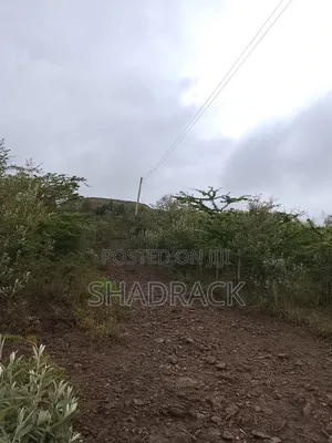 Land for Sale in Gilgil Langa Lang a Kimbo Region