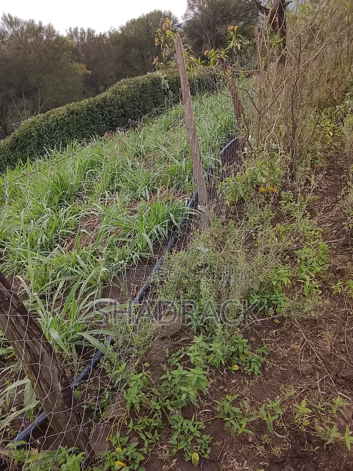 Land for Sale in Gilgil Langa Lang a Kimbo Region