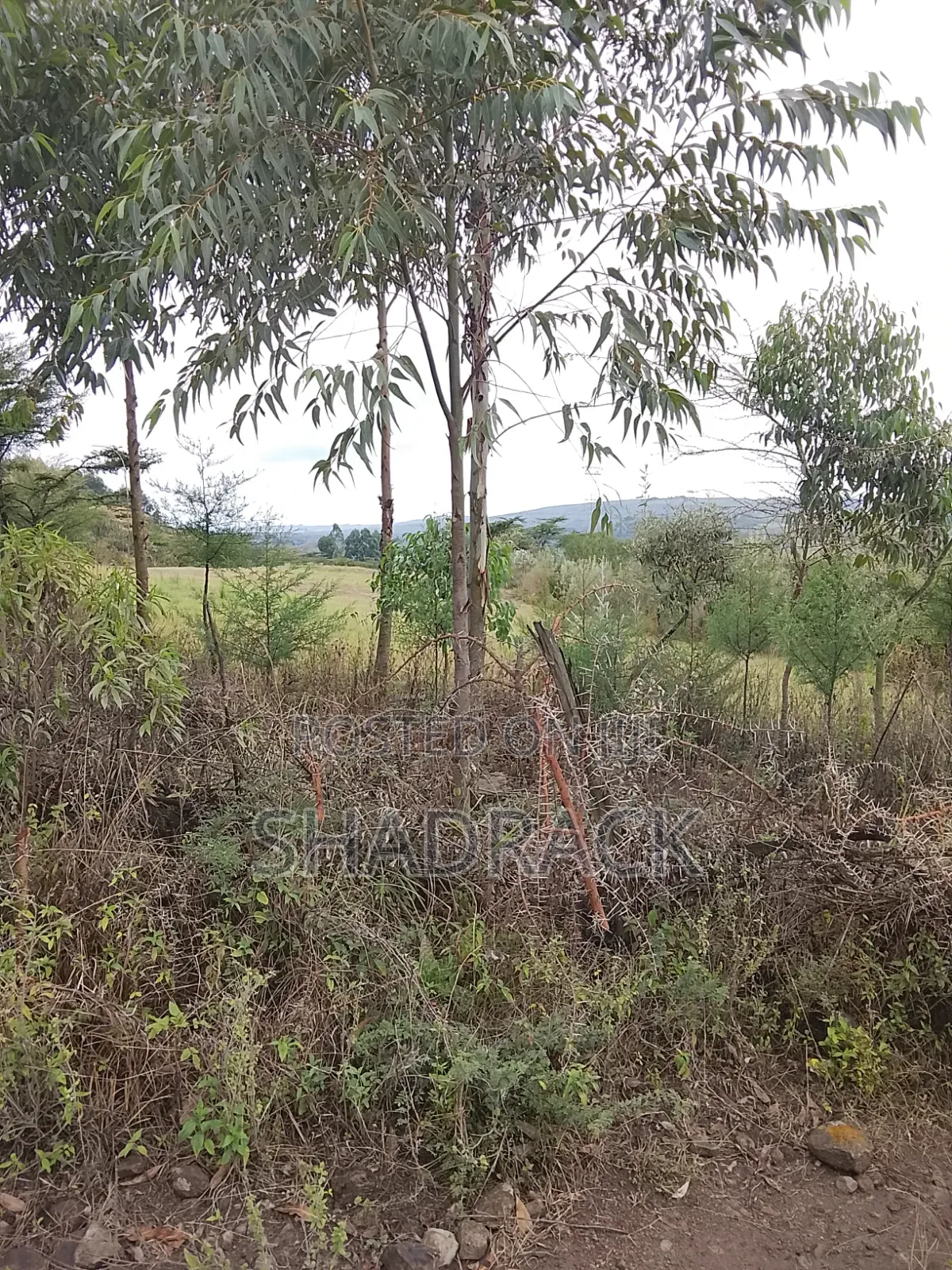 Land for Sale in Gilgil Langa Lang a Kimbo Region