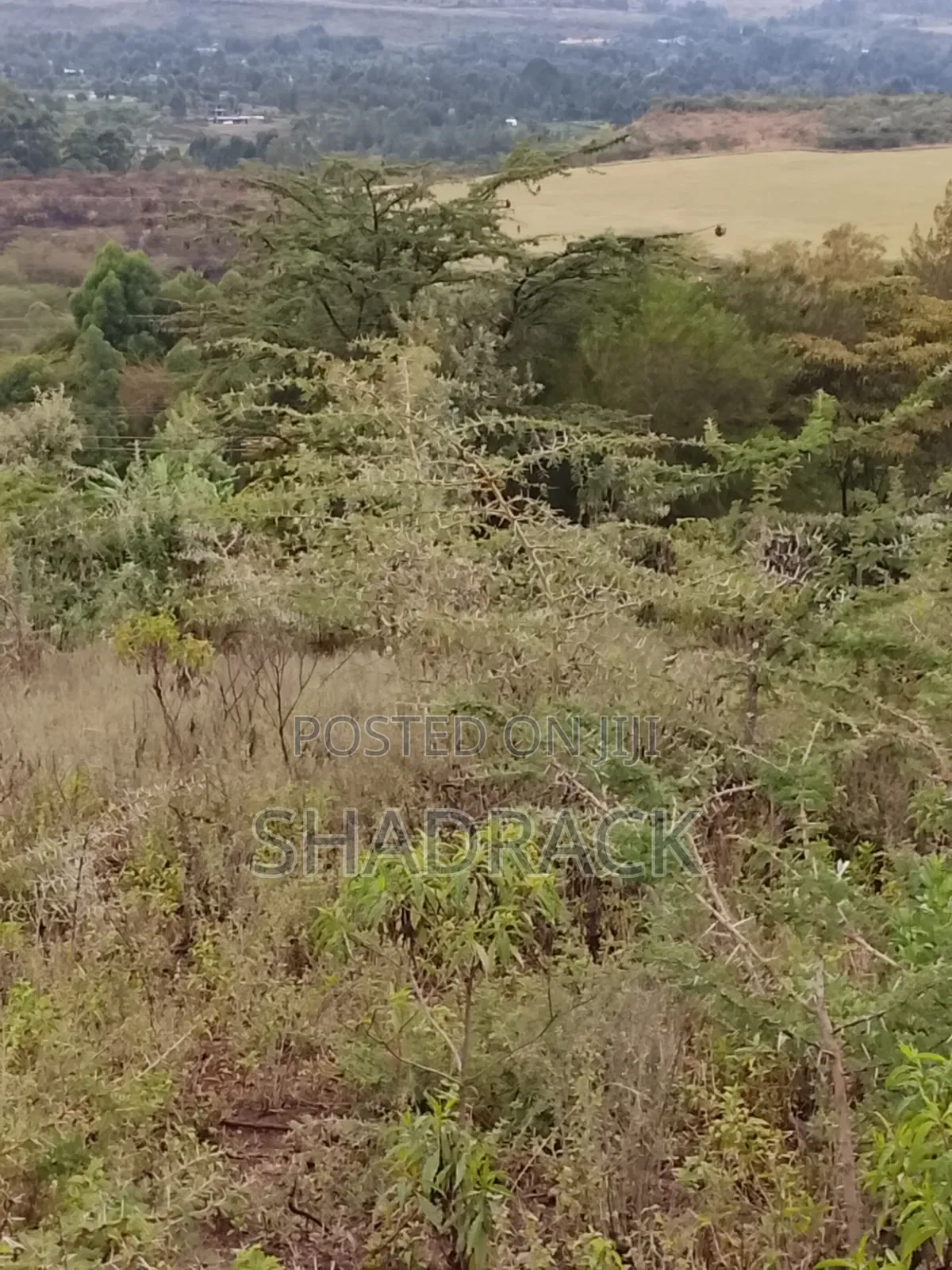 Land for Sale in Gilgil Langa Lang a Kimbo Region