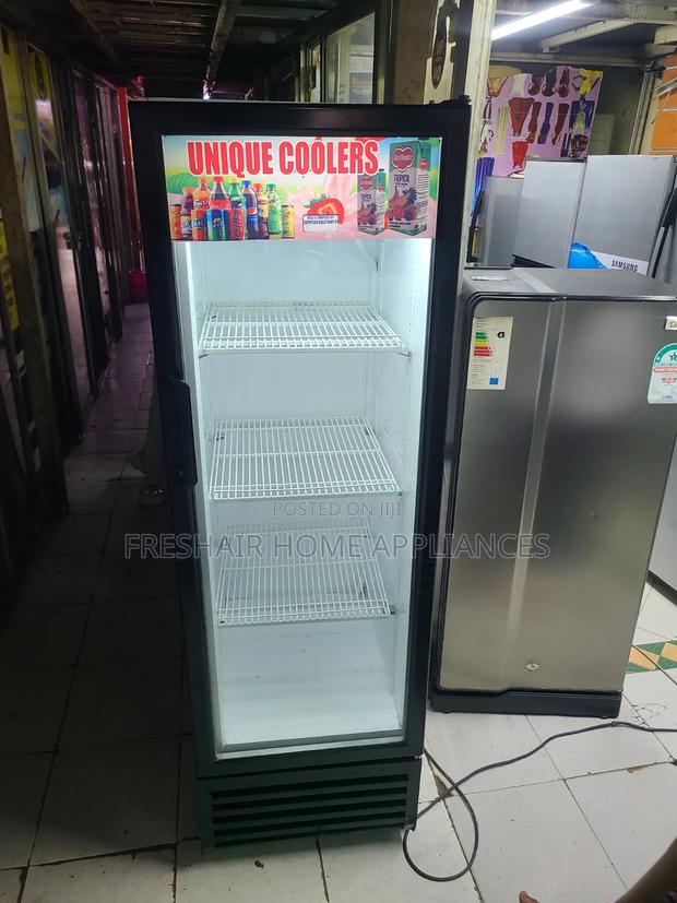 Unique Cool White Display Fridge 300litres