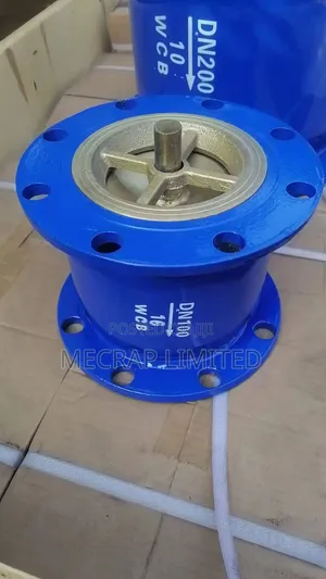 Non Return Valve