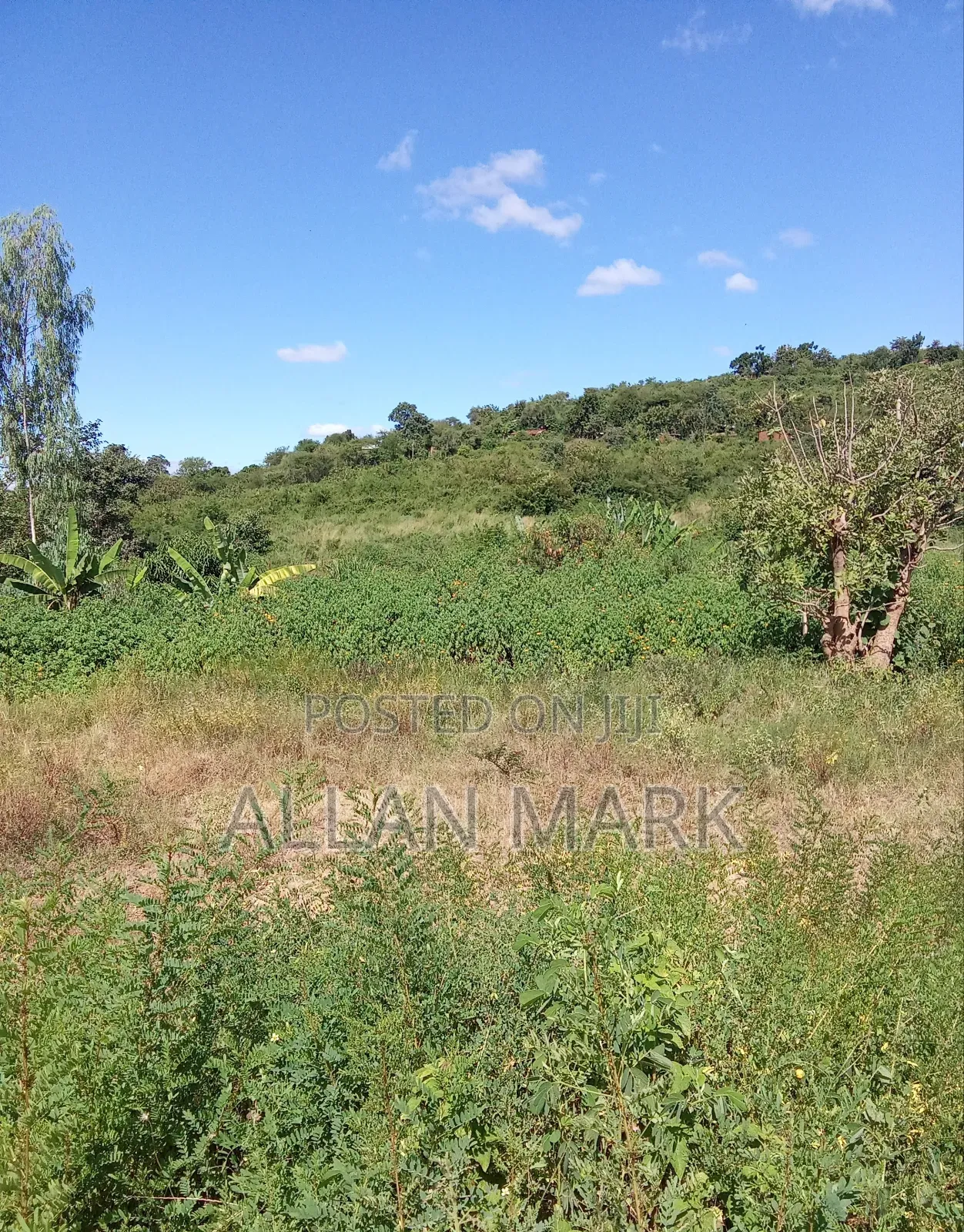 Mananja Prime Estate Land