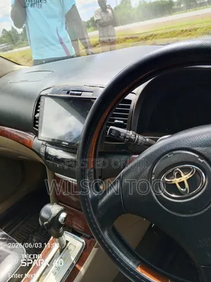 Toyota Premio 2002 Gray