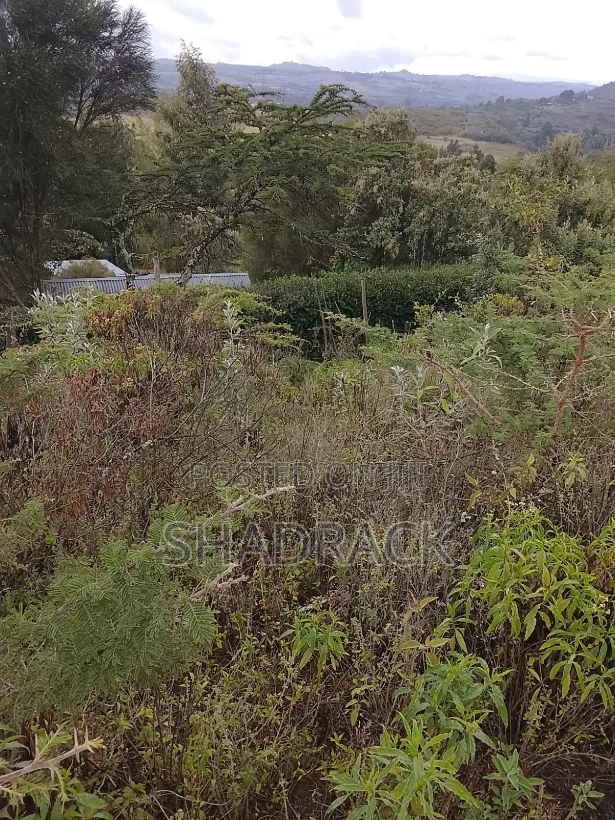 Land for Sale in Gilgil Langa Lang a Kimbo Region