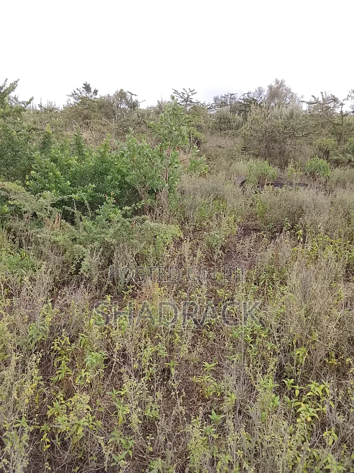 Land for Sale in Gilgil Langa Lang a Kimbo Region