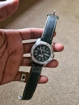 Timex Norton