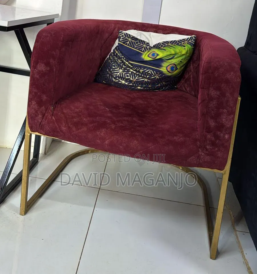 Salon Chair