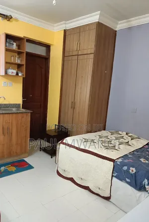 Furnished 1bdrm Bedsitter in Nairobi Central for rent