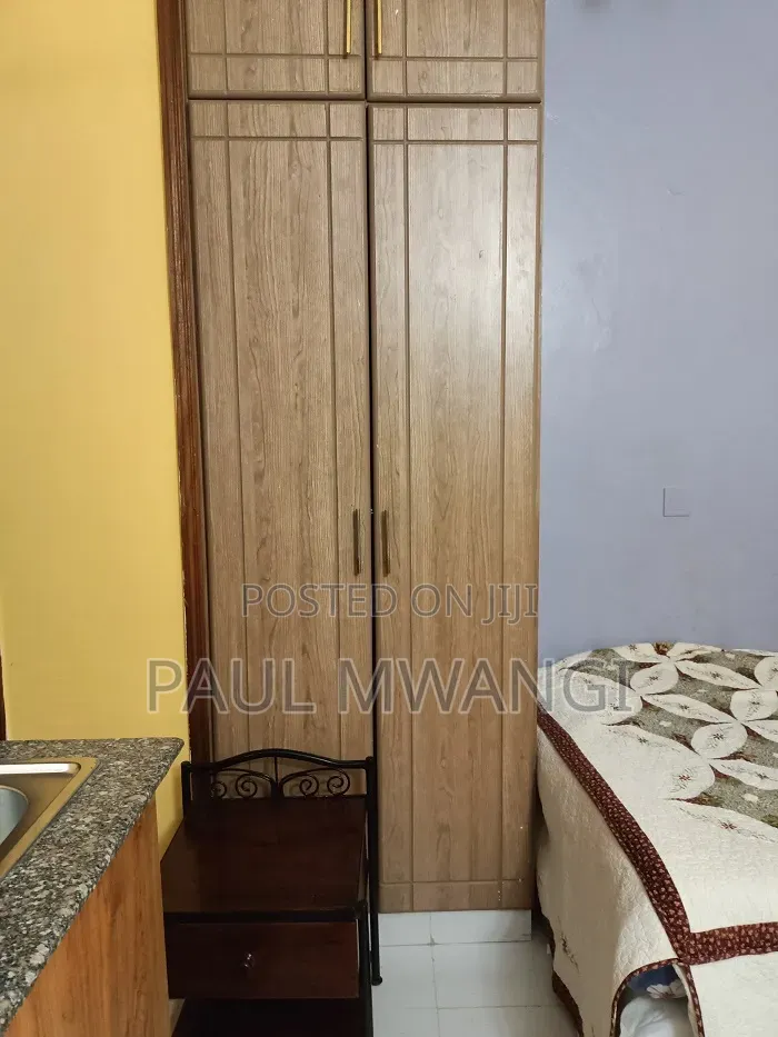 Furnished 1bdrm Bedsitter in Nairobi Central for rent