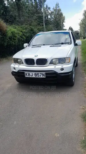 BMW X5 3.0 2002 White