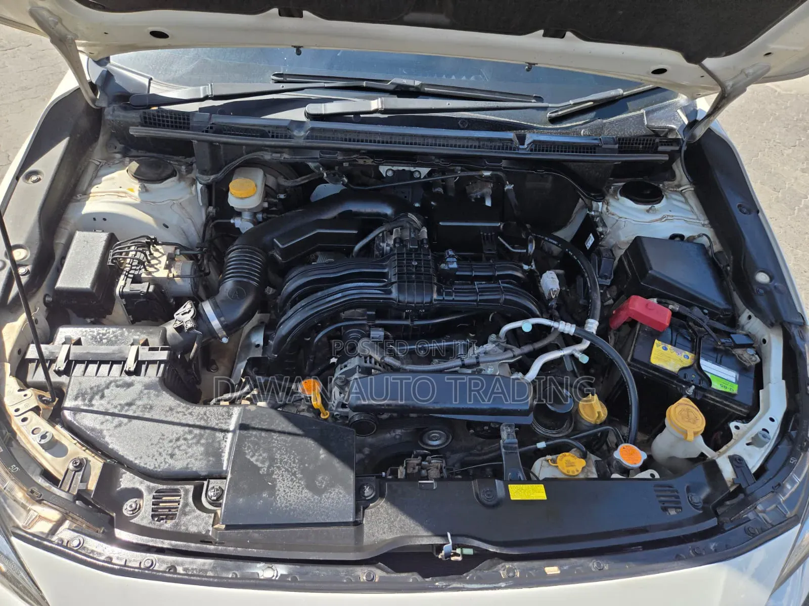 Subaru Impreza 2019 White