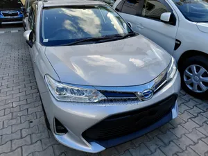Toyota Corolla Fielder 2019 Silver