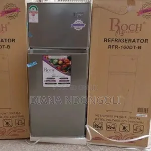 Roch RFR-250-Dt-B Double Door Refrigerator