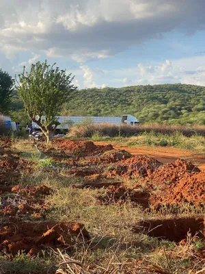 50 Acres in Embu Ishiara for Sale as a Block Currently Under Farming