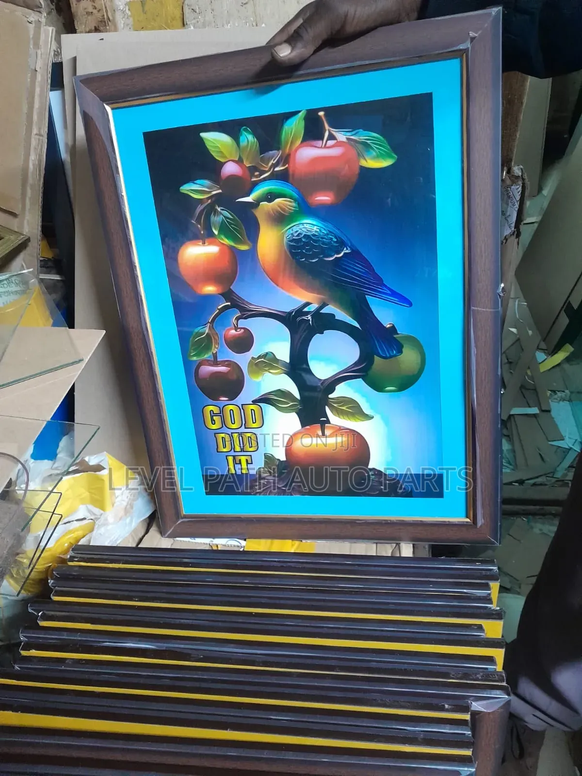 Imported Frame's