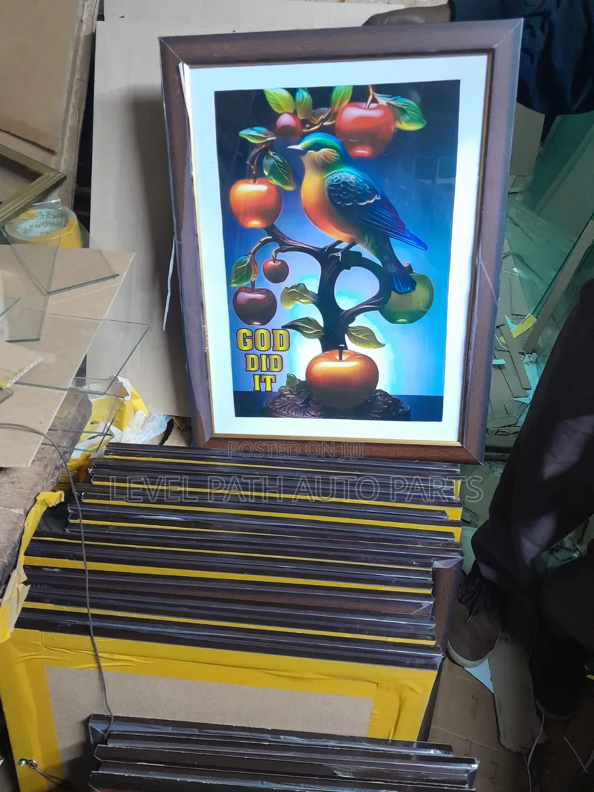 Imported Frame's